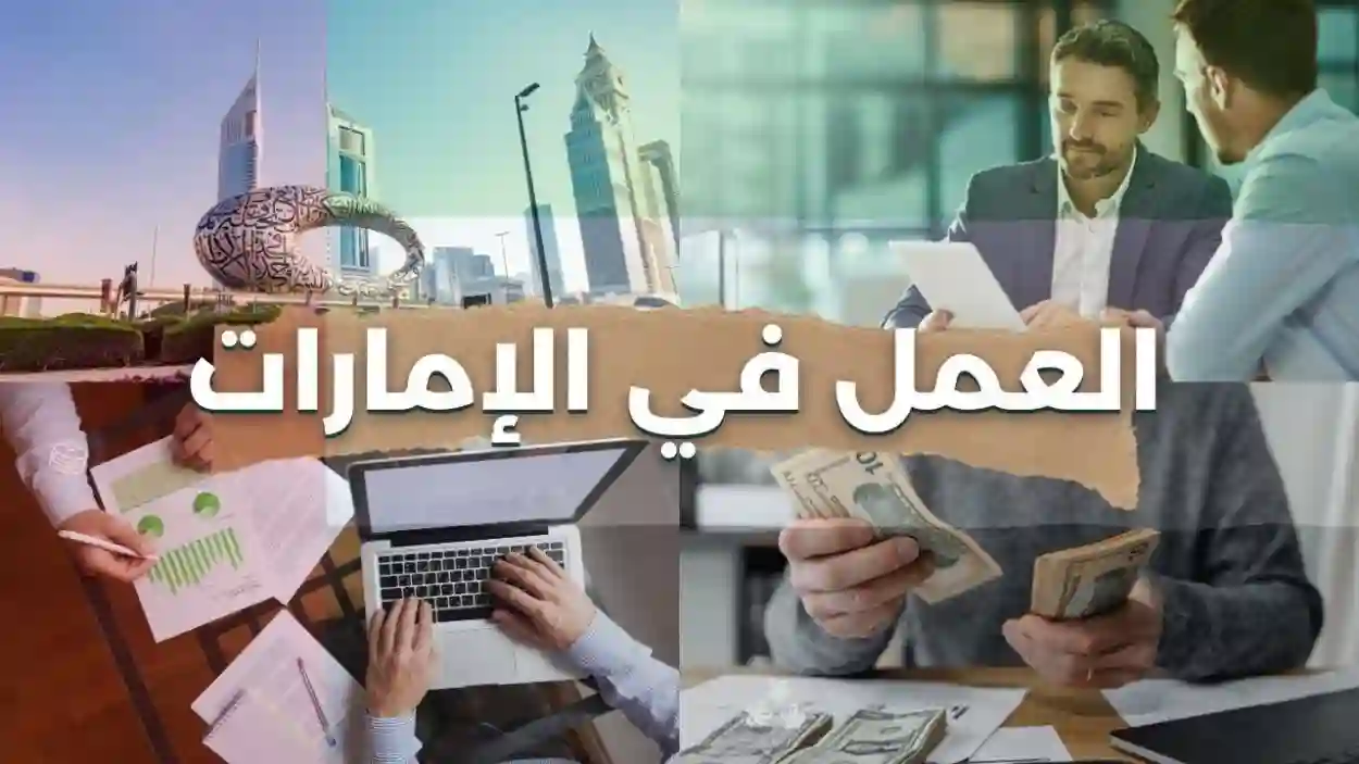 تخصصات الامارات 2025