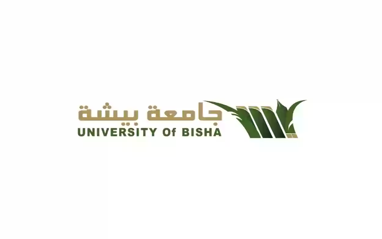 جامعة بيشة 