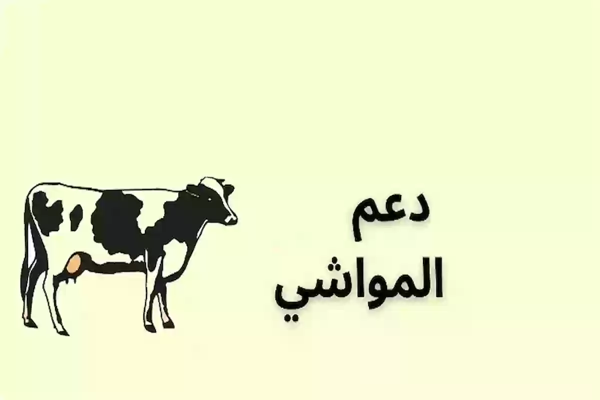 دعم المواشي