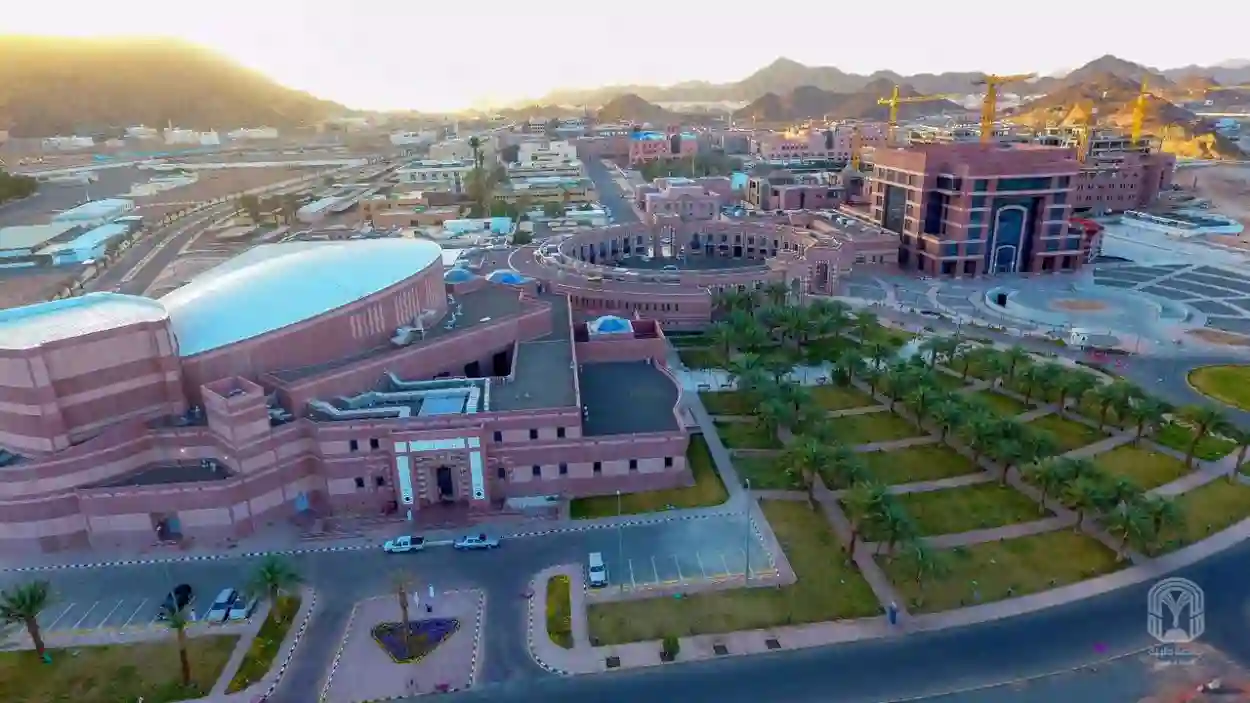 جامعة طيبة
