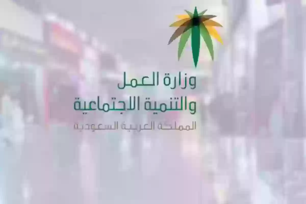 وزارة العمل الخدمات الإلكترونية الاستعلام عن موظف وافد - mol.gov.sa